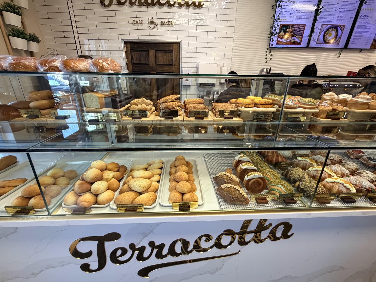 Pastry case with gold Terracotta script on the marble counter and trays of rolls